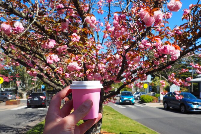 Blue Mountains Small Group Tour with Lunch, Zoo and Scenic World - The hot chocolate stop that breaks up the pace