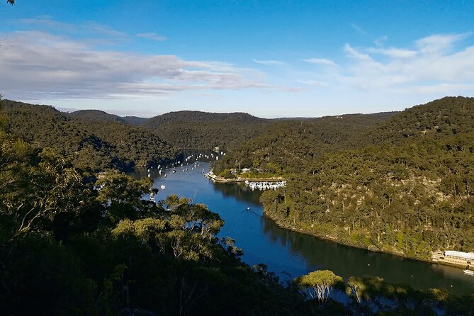 Blue Mountains Small Group Tour with Lunch, Zoo and Scenic World - Scenic World: railway and cableway included for big valley views