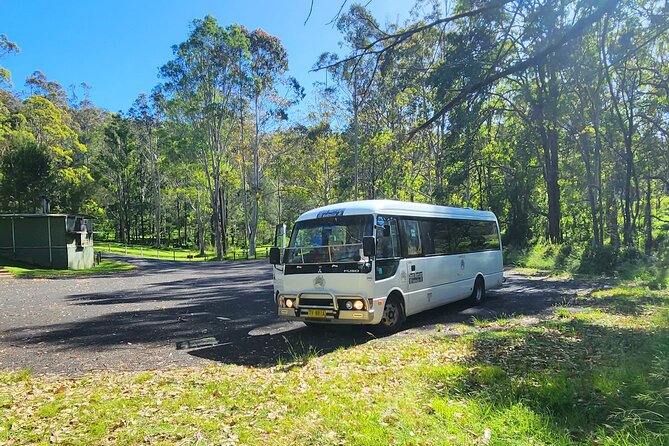 Blue Mountains Small Group Tour with Waterfall Walk & Fresh Lunch - Wentworth Falls: the 90+ minute waterfall walk and the optional steep return