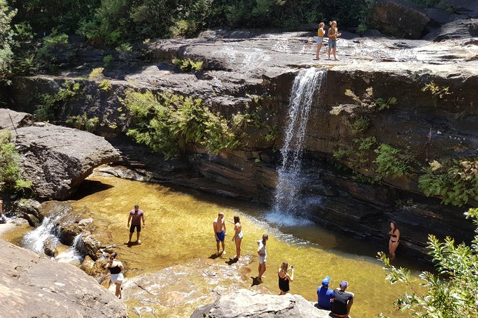 Blue Mountains Small Group Tour with Waterfall Walk & Fresh Lunch - Lunch and Aussie snacks: a fresh roll after the climb