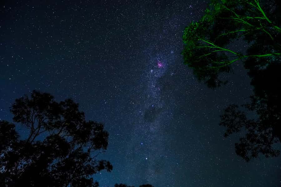 Blue Mountains: Stargazing with a Telescope and Astronomer - How the Naked-Eye Constellations Make the Rest of the Night Click