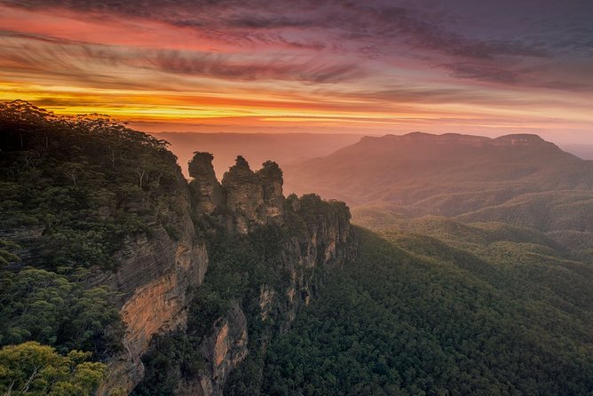 Blue Mountains Sunset Tour | See Kangaroos & Koalas (Private Tour) - Featherdale Wildlife Park: koalas and kangaroos before the big views