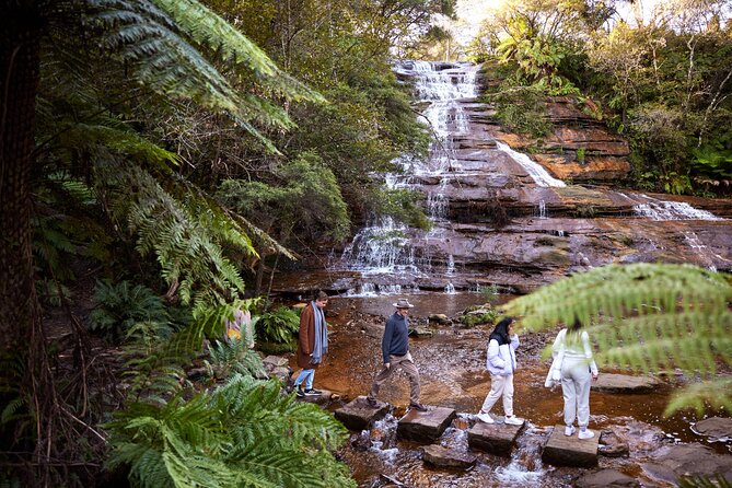 Blue Mountains Sunset Tour with Kangaroo Sightings from Sydney - A later-than-usual Blue Mountains day from Sydney