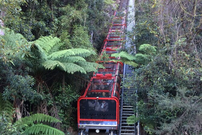 Blue Mountains Tour PRIVATE with Wildlife Park and River Cruise - Wildlife Park Hour: Koalas, Kangaroos, and Up-Close Aussie Encounters