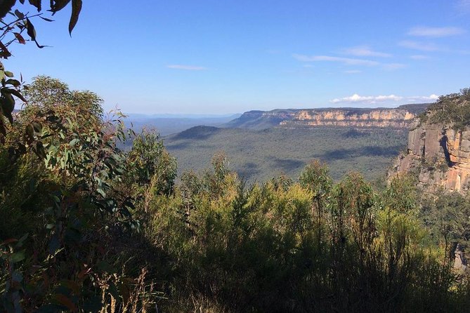 Blue Mountains Tour PRIVATE with Wildlife Park and River Cruise - Wentworth Falls Lake and Cahills Lookout: The Views Away From the Crowd