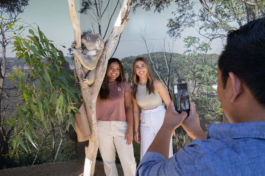Blue Mountains Tour w/Lunch: Scenic World, Zoo & Koala Photo - Scenic World in 90 Minutes: Steep Funicular, Sky Views, and a Rainforest Walk