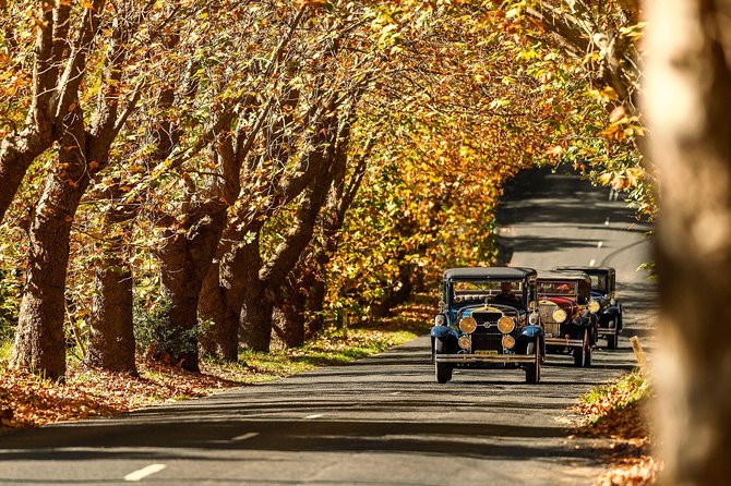 Blue Mountains Vintage Cadillac Tour with Local Guide - Price per group: what $638.80 really buys you