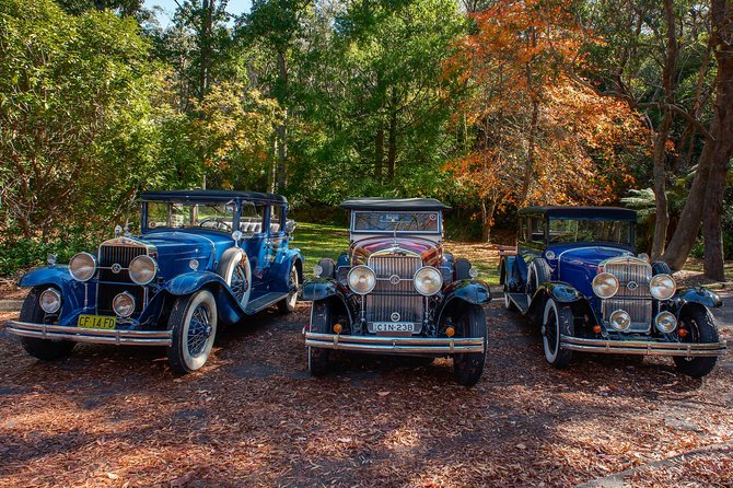 Blue Mountains Vintage Cadillac Tour with Local Guide - Echo Point Lookout and the Three Sisters: your best photo stake