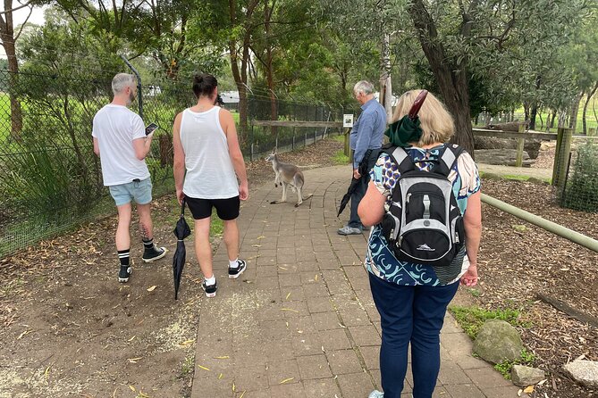 Blue Mountains Wildlife Full-Day Sights and Hiking from Sydney - Govetts Leap: 180 m waterfall views that make the effort worth it