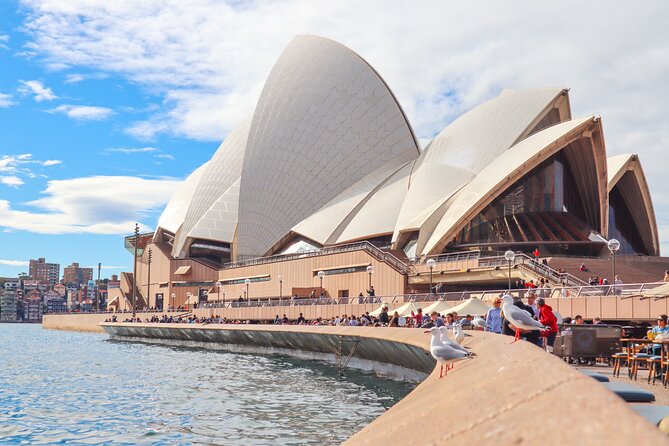 Bondi & Sydney Sights Trike Tour 1.5hrs - Kings Cross on a trike: quick context, major city energy