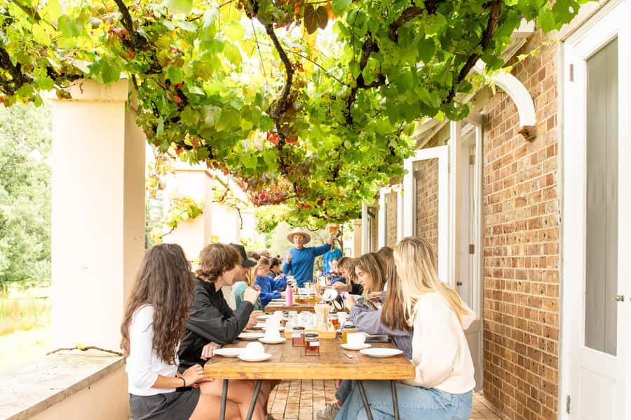Bowral Honey Farm Tour, Honey Tasting & morning Tea - Key highlights you will actually care about