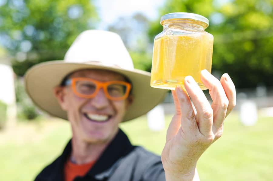 Bowral Honey Farm Tour, Honey Tasting & morning Tea - Guided tour beside the hives: the bees’ lifecycle story you will remember