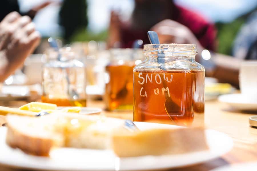 Bowral Honey Farm Tour, Honey Tasting & morning Tea - Photo stop and shopping: what to do with your newfound honey opinions