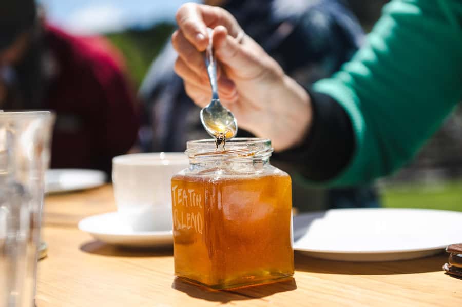 Bowral Honey Farm Tour, Honey Tasting & morning Tea - What to bring, and who should skip this