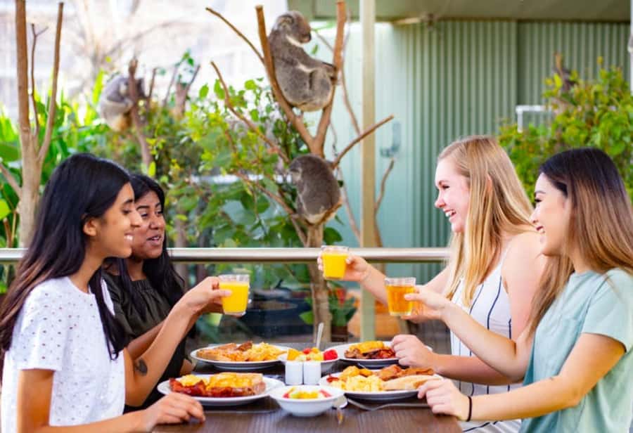 Breakfast with Koalas at WILD LIFE Zoo Darling Harbour - Key things to know before you go
