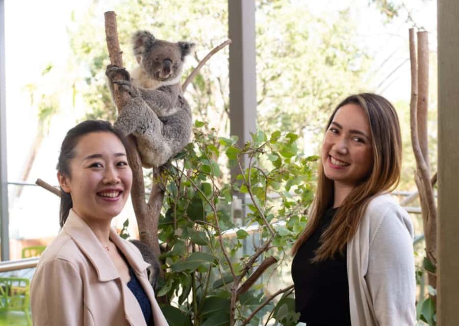 Breakfast with Koalas at WILD LIFE Zoo Darling Harbour - 7:15 arrival at the main entrance, and how to not miss the start