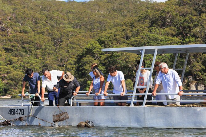 Broken Bay Pearl & Oyster Farm Tours - Sustainable pearl and oyster farming, explained in plain terms
