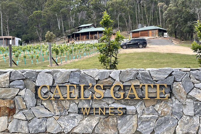 Cael’s Gate Wine and Cheese Tasting in Hunter Valley - Gluten-free and pet-friendly details that actually matter