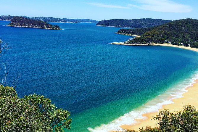 Central Coast Private Tour From Sydney, with Australian Reptile Park Option - Quick hits before you go