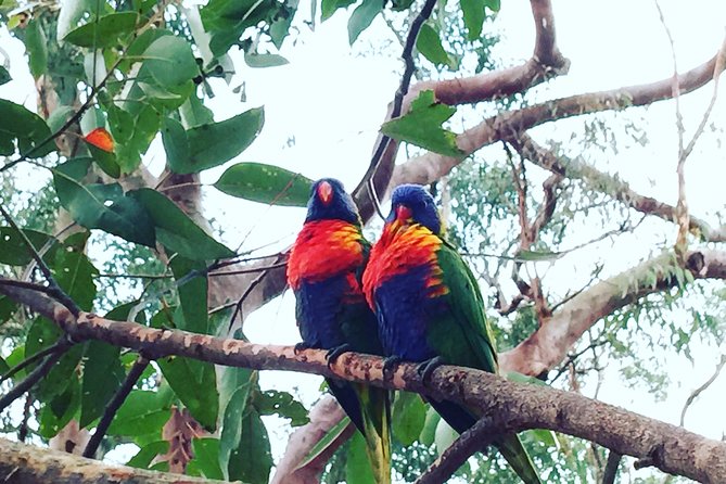 Central Coast Private Tour From Sydney, with Australian Reptile Park Option - Mount Ettalong Lookout bush walk: where the coast makes sense