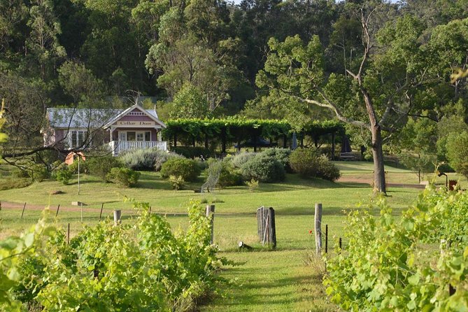 Chef-Led Hunter Valley Gourmet Food and Wine Day Tour from Sydney - The Hawkesbury River Break: Oysters, Prawns, and a Midday Reset