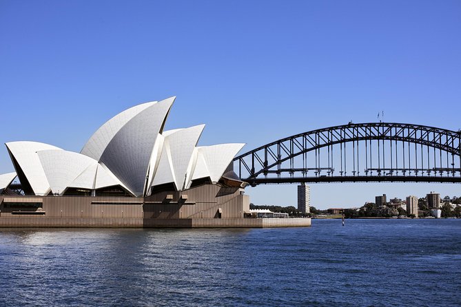 Christmas Day Cruise on Sydney Harbour - The Buffet Lunch: What You Actually Get (And Why It Works)