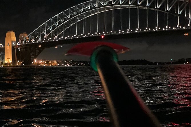 City Lights by Night Paddle on Sydney Harbour Guided Tour - Sydney Opera House: iconic form from the water