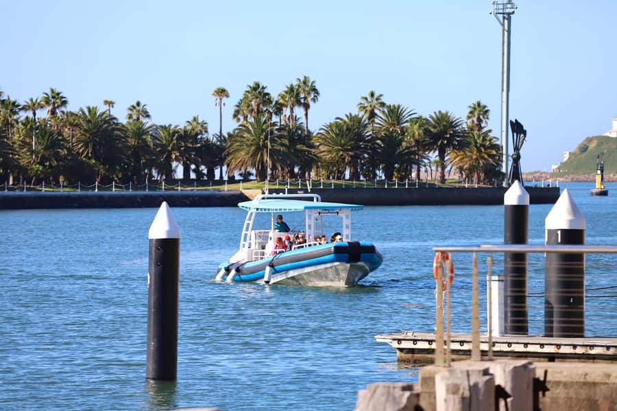 Coastal 2.5-hour Adventure Boat Tour from Newcastle - Dock C at Newcastle Cruising Yacht Club, then out to the Hunter Coast