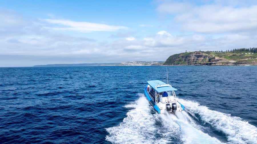 Coastal 2.5-hour Adventure Boat Tour from Newcastle - 150 minutes of coast highlights: Caves Beach to Catherine Hill Bay
