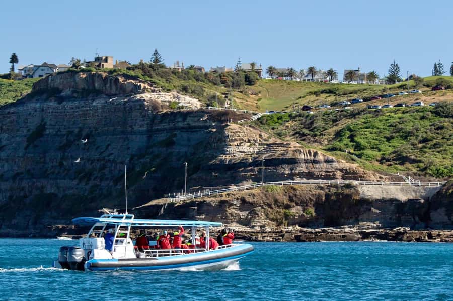 Coastal 2.5-hour Adventure Boat Tour from Newcastle - Marine life spotting with sea-level views and 360-degree sightlines