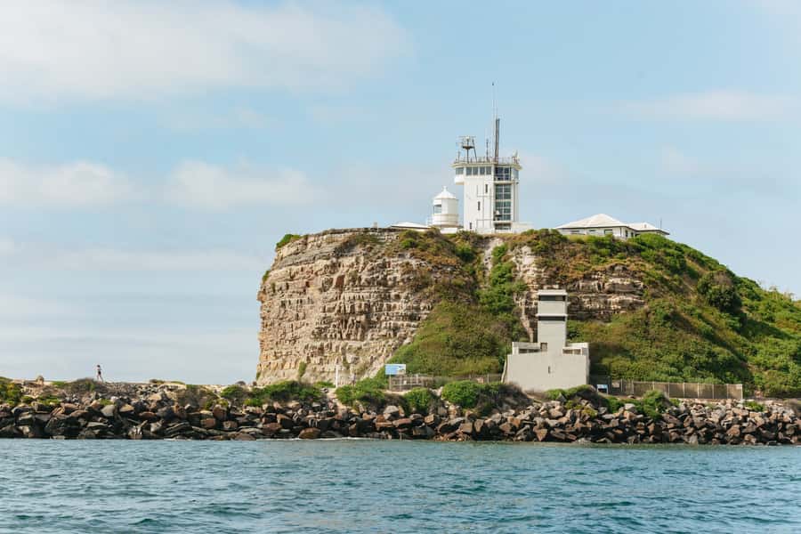 Coastal 2.5-hour Adventure Boat Tour from Newcastle - Price, weather, and what to pack for comfort