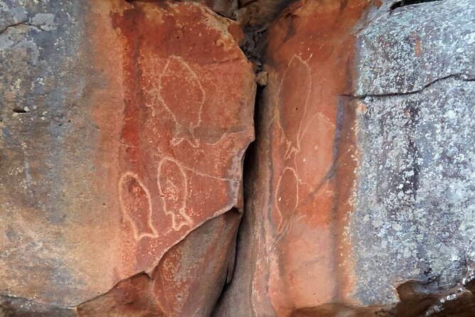 Cowan Creek Lunch paddle with Aboriginal rock art - Key points to know before you go