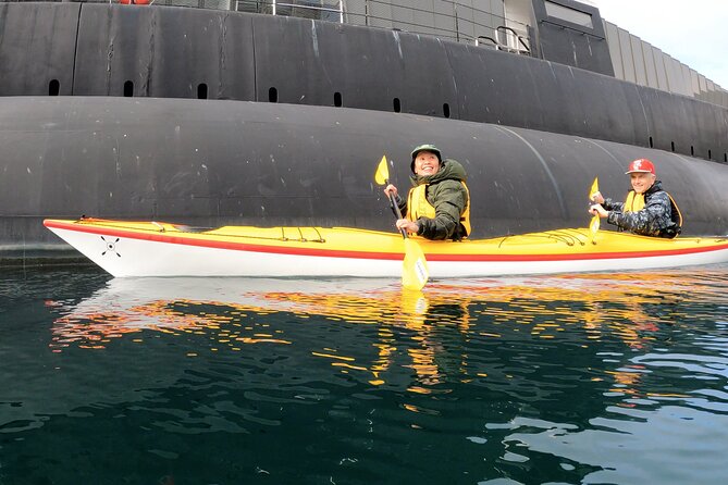 Darling Harbour Explorer - Sea Kayaking Tour - How the guide, safety setup, and small-group size change everything