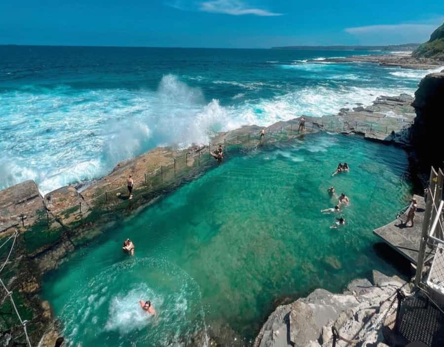 Discover Newcastle: Coastal Charms & City Secrets - mini van - Food tips on the move: getting a real taste of the city