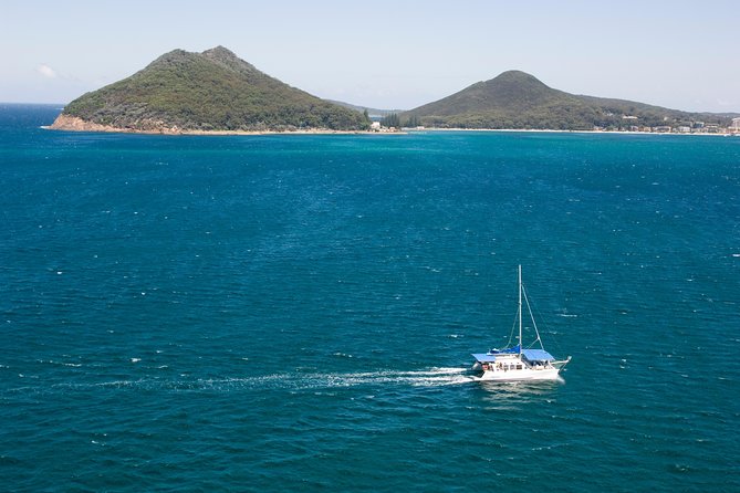 Dolphin Watch + Sailing - Port Stephens - The 1.5-Hour Cruise Through Port Stephens, Timing and Flow