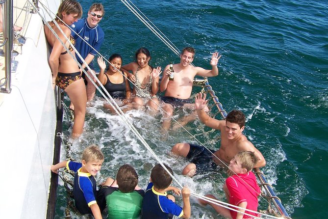 Dolphin Watch + Sailing - Port Stephens - Price and Value, Is $35.86 a Smart Deal?