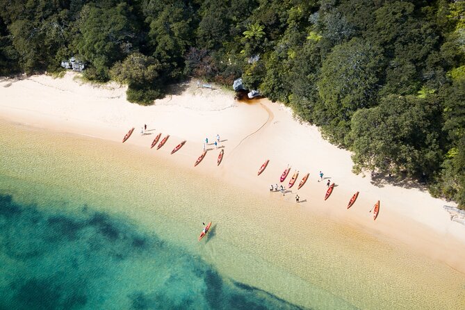 Double Kayak Hire - 4 Hours - Where you paddle in North Harbour, and how to choose your route