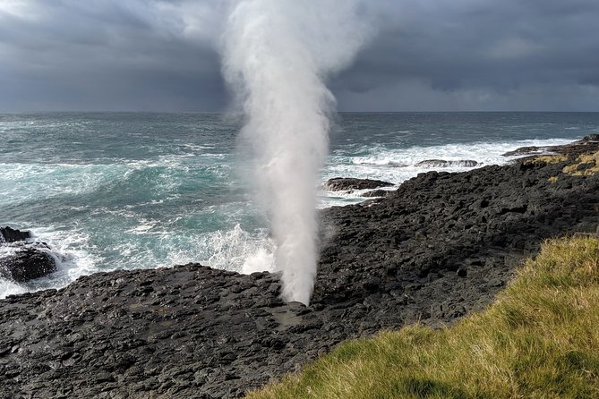 Erupting Blowholes and Ancient Rainforests SOUTH COAST OF SYDNEY PRIVATE TOUR - Key points to know before you go