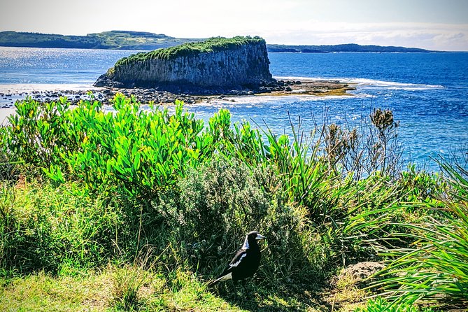 Erupting Blowholes and Ancient Rainforests SOUTH COAST OF SYDNEY PRIVATE TOUR - Sea Cliff Bridge and Stanwell Tops: start with the big sky views