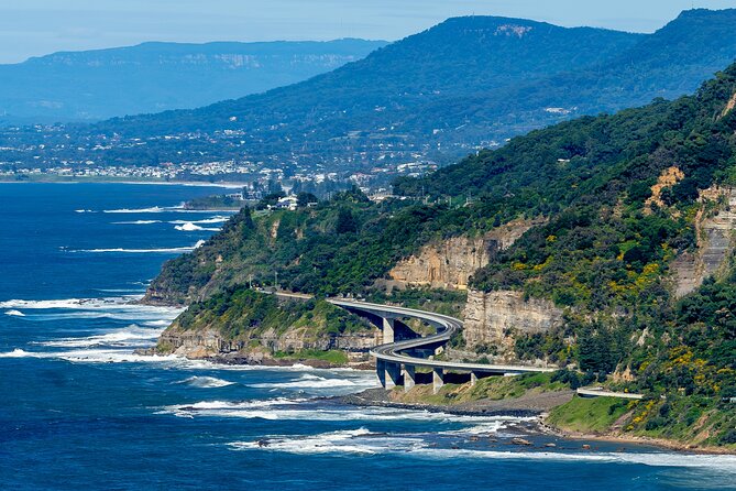 Escape Sydney: Sea Cliff Bridge, Wildlife, Kiama Coast Private - Key highlights you’ll feel on the day