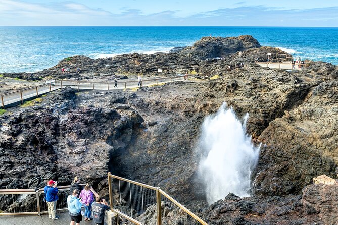 Escape Sydney: Sea Cliff Bridge, Wildlife, Kiama Coast Private - Sea Cliff Bridge: waves, cliff views, and a short walk that pays off
