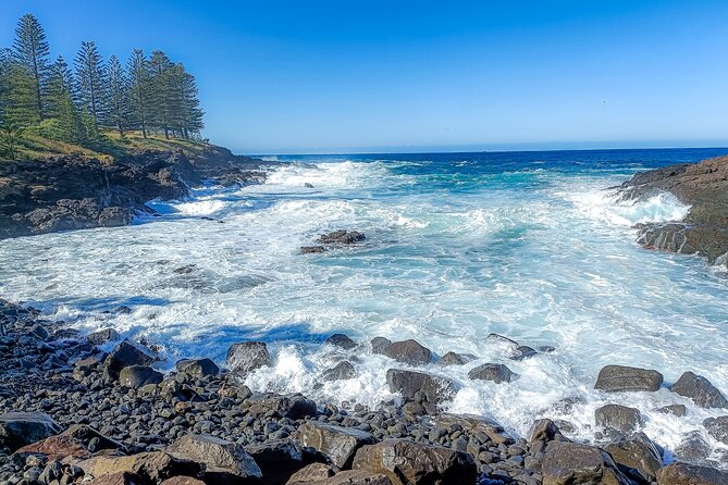 Escape Sydney: Sea Cliff Bridge, Wildlife, Kiama Coast Private - Minnamurra’s basalt cliffs: a casual walk with dramatic rock