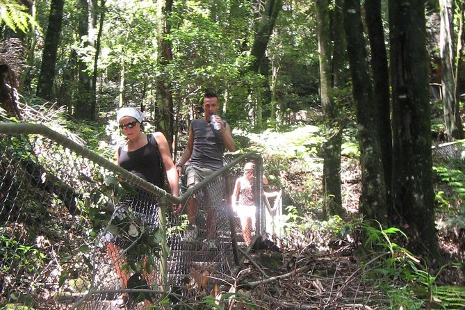 Exclusive Blue Mountains Wildlife and Bushwalk Tour From Sydney - Leura and Katoomba lunch time without the tourist trap feeling