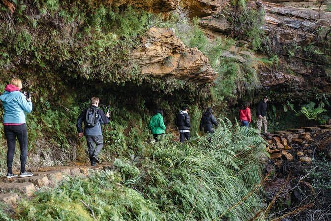 Exclusive Blue Mountains Wildlife and Bushwalk Tour From Sydney - Morning pickup in Sydney, then straight into the Mountains