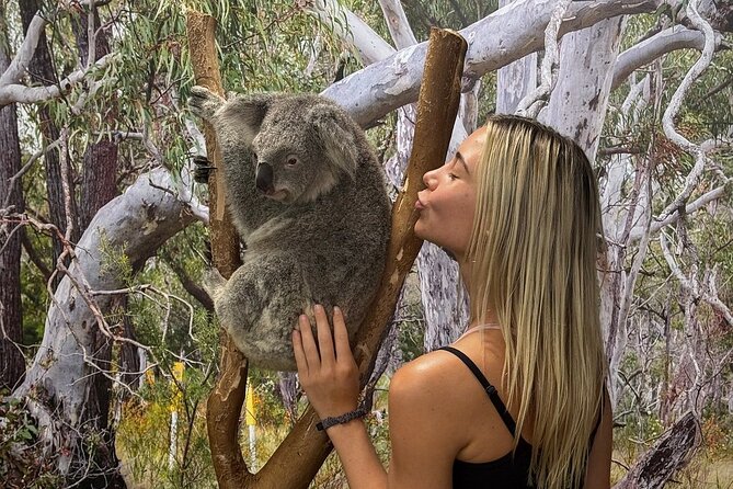 Featherdale Wildlife Park with Exclusive Private Transfers - Key points I’d circle before you go