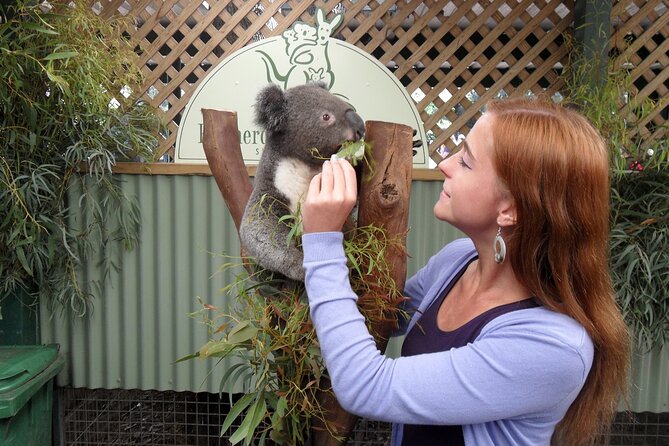 Featherdale Wildlife Park with Exclusive Private Transfers - The guide factor: why the day feels smoother
