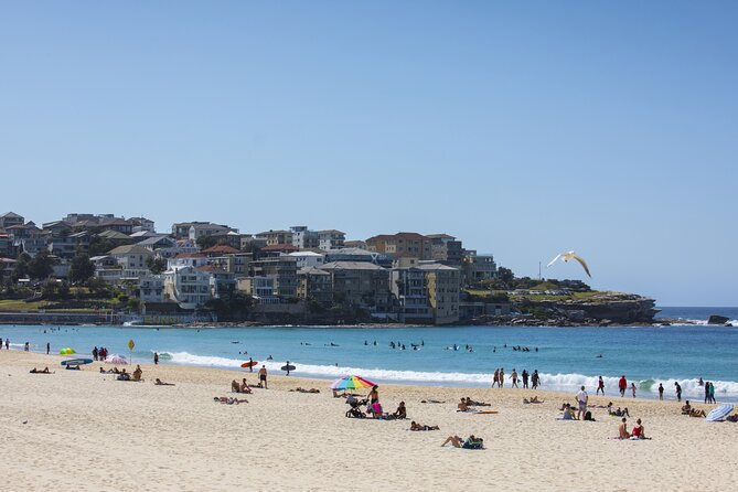 First Timer Sydney Sightseeing & Bondi Beach 1/2 Day Tour - Back at the Harbour Bridge and the summit option