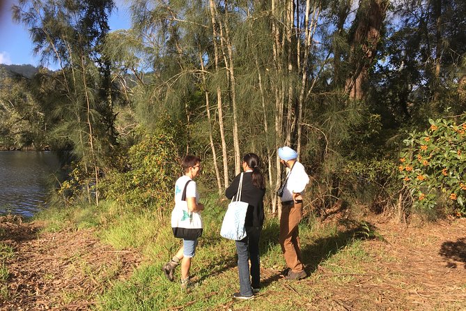 Fishermans Paradise Eco-walk - Meeting at the Lake Conjola Boat Ramp, and why 3:00 pm matters
