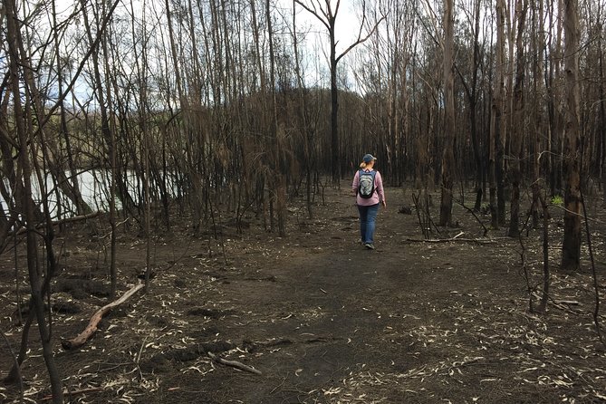 Fishermans Paradise Eco-walk - Private-guide feel, and what that means for families