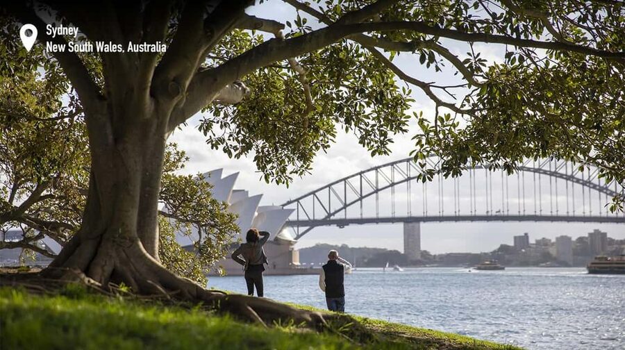 Foraging Food Tour Sydney Native Aussie Food - From plants to picnic: Mrs Macquarie’s Chair at sunset